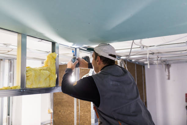 Best Spray Foam Insulation in Enigma, GA