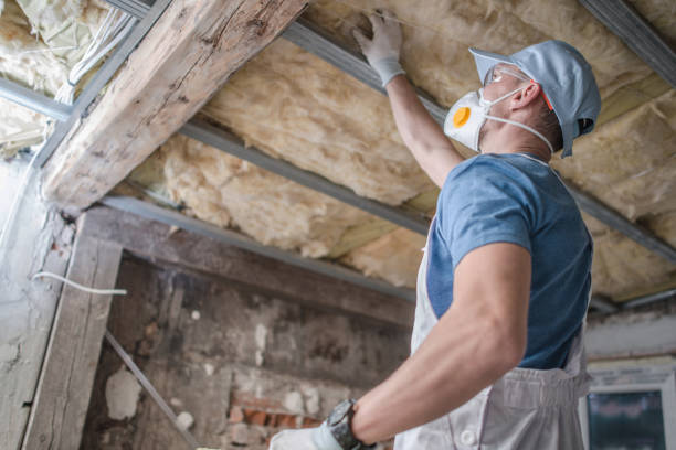 Best Residential Insulation in Enigma, GA