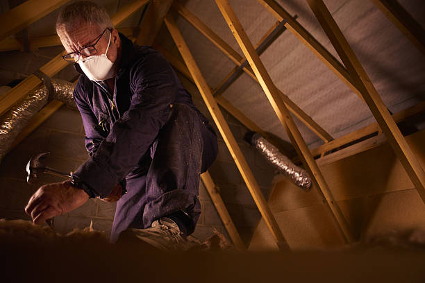 Best Insulation Maintenance and Repair in Enigma, GA